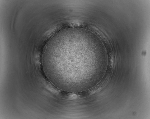 X0000097600616200803071431