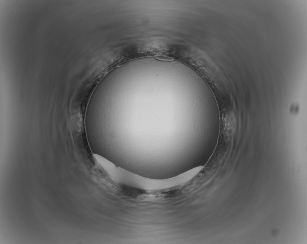X0000097600617200803071431