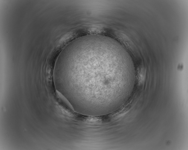 X0000097600619200803071431