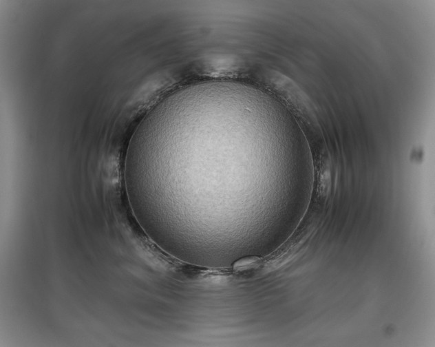 X0000097600620200803071431