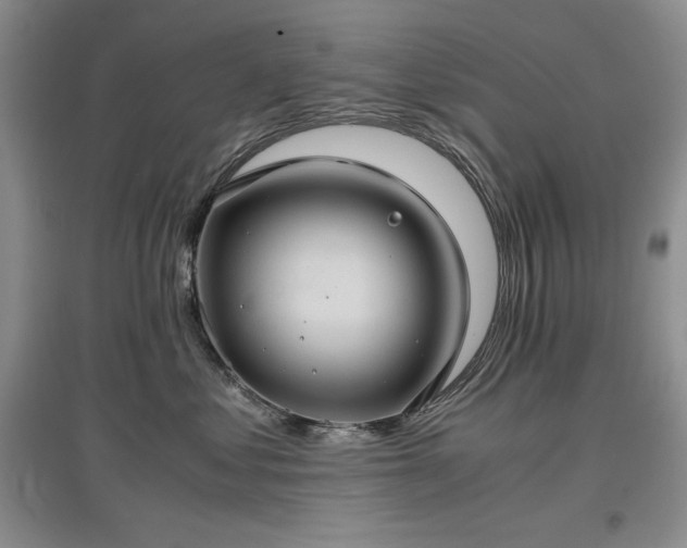X0000097600621200803071431