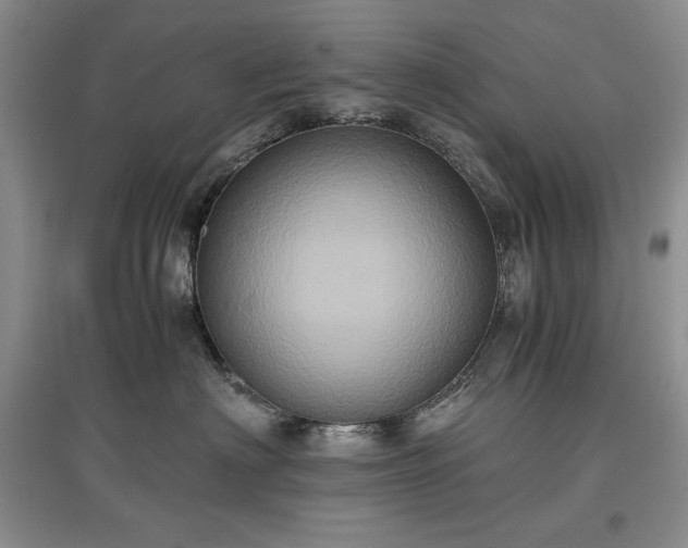 X0000097600622200803071431