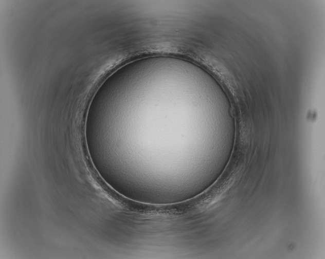 X0000097600625200803071430