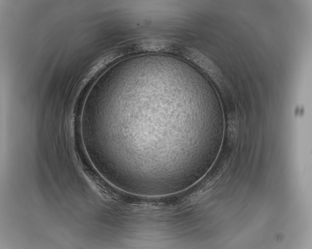 X0000097600626200803071430
