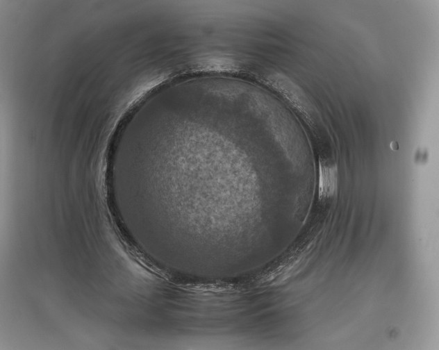 X0000097600627200803071430