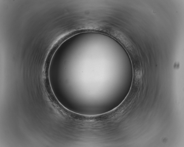 X0000097600628200803071430