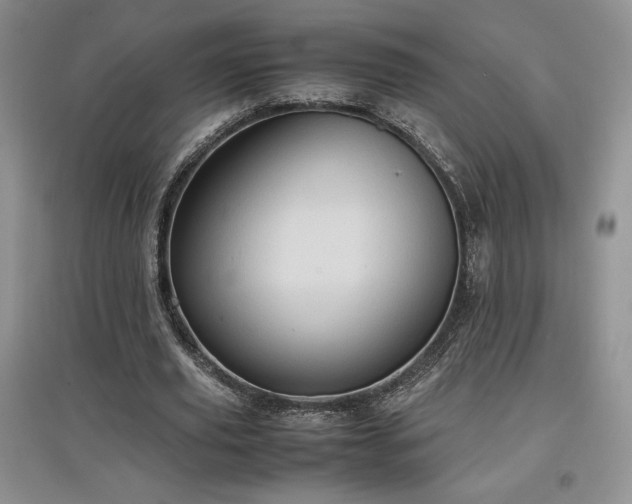 X0000097600629200803071430