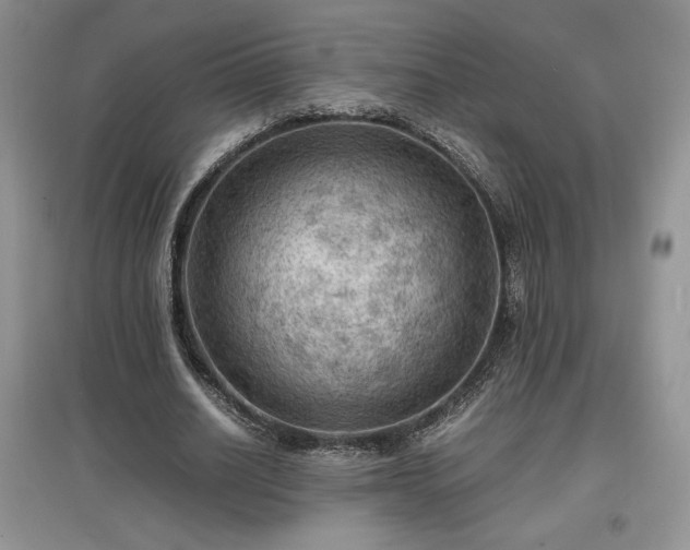 X0000097600630200803071430