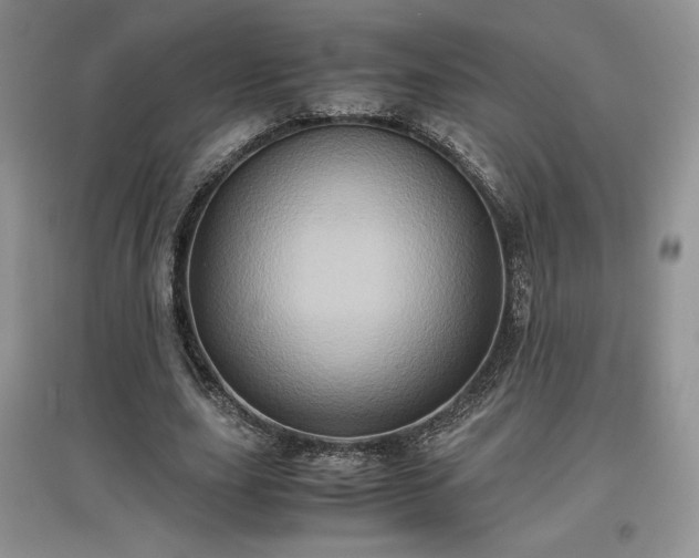 X0000097600631200803071430