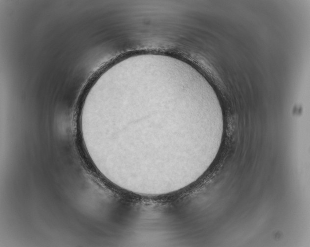 X0000097600632200803071430