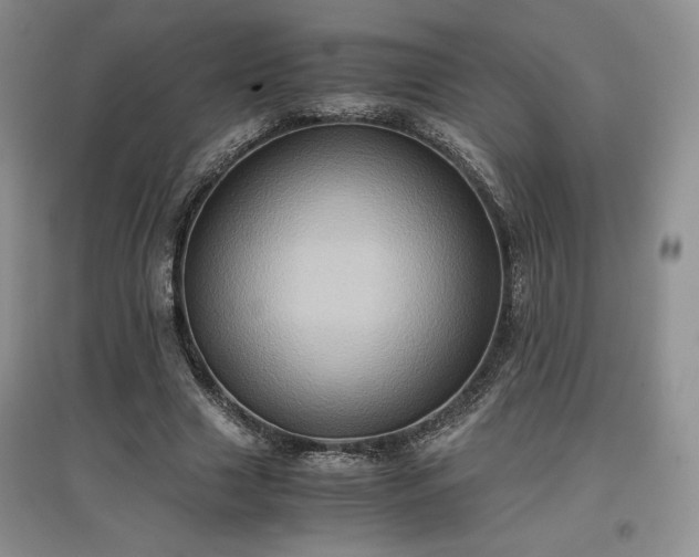 X0000097600633200803071430