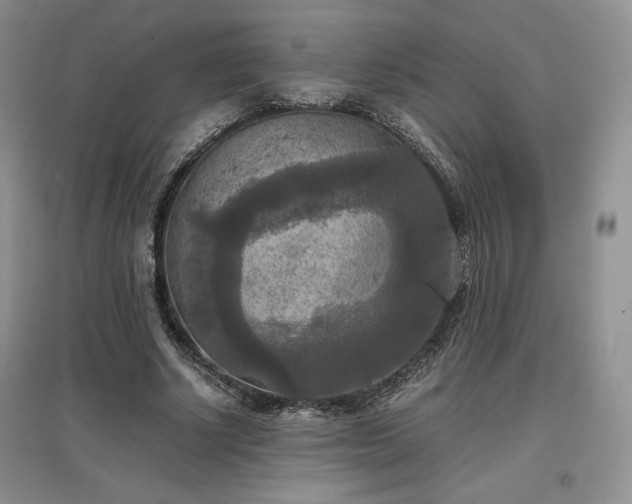 X0000097600634200803071430