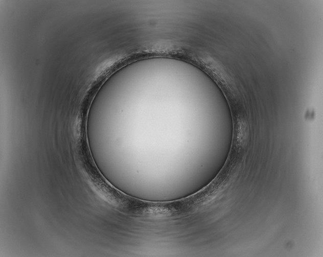 X0000097600636200803071430