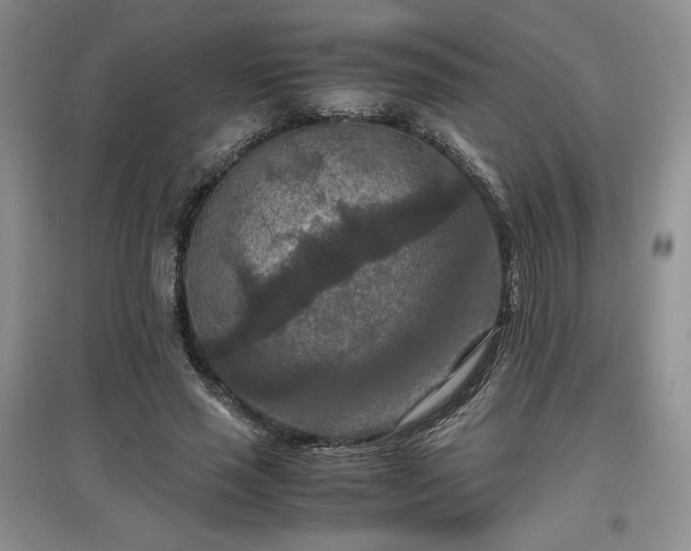 X0000097600637200803071430