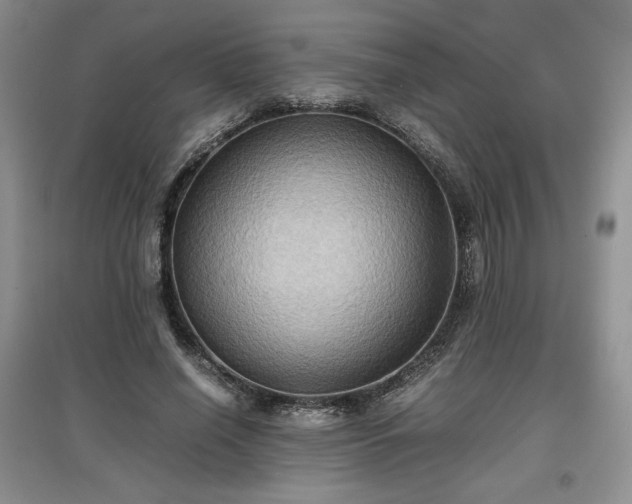 X0000097600638200803071430
