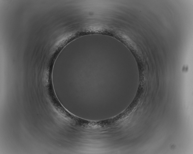X0000097600640200803071430