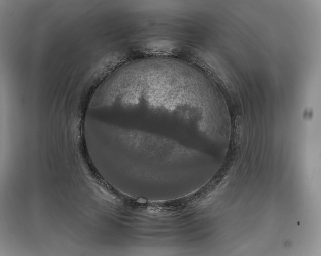 X0000097600641200803071430