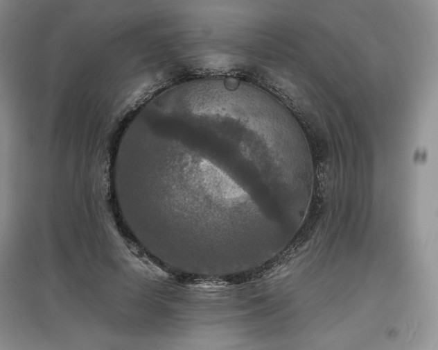 X0000097600642200803071430