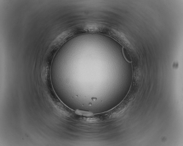 X0000097600645200803071430