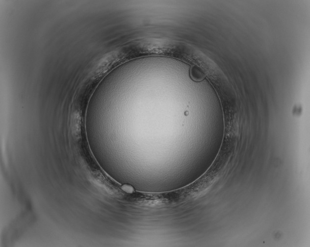 X0000097600646200803071430