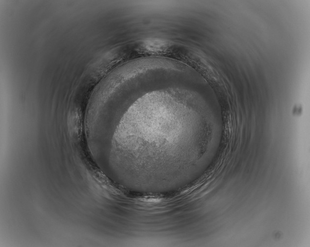 X0000097600651200803071430