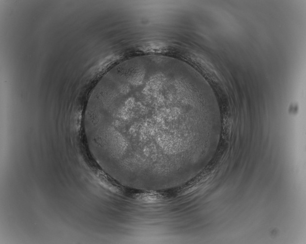 X0000097600652200803071430
