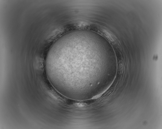X0000097600654200803071430