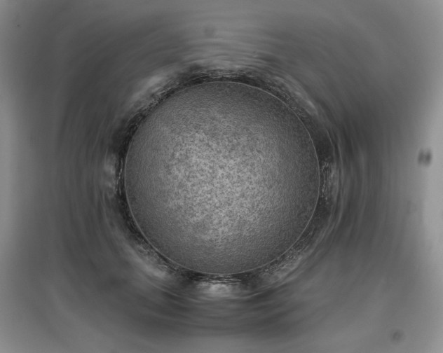 X0000097600655200803071430