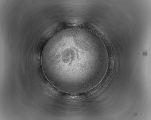 X0000097600657200803071430