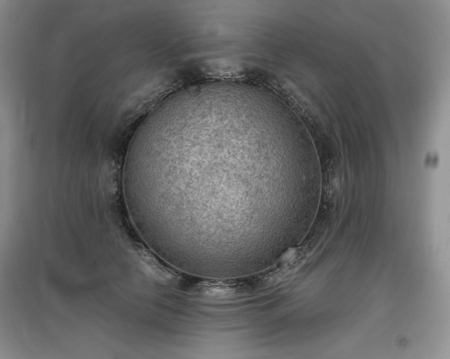 X0000097600658200803071430
