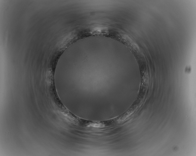 X0000097600659200803071430