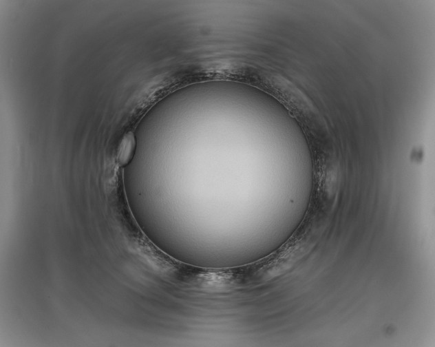X0000097600660200803071430