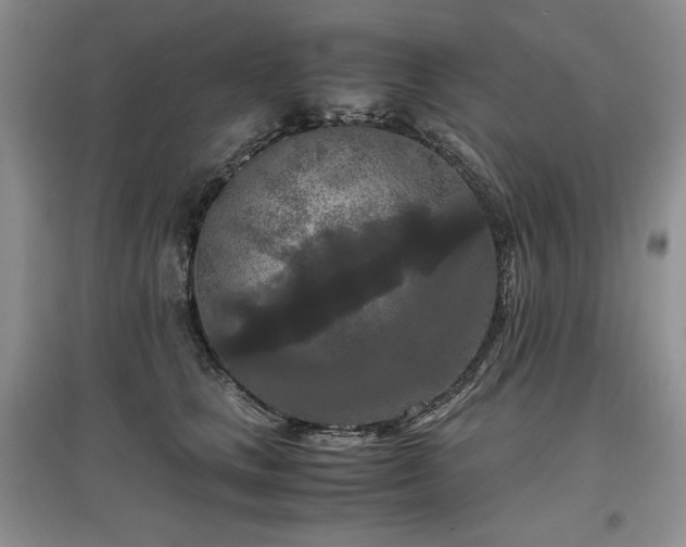 X0000097600661200803071430