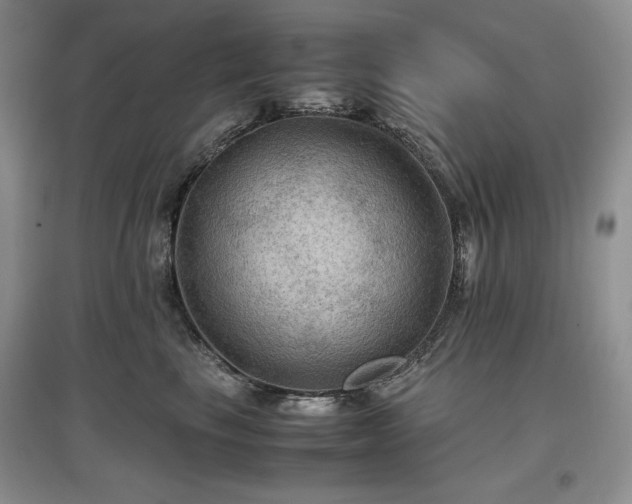 X0000097600665200803071430
