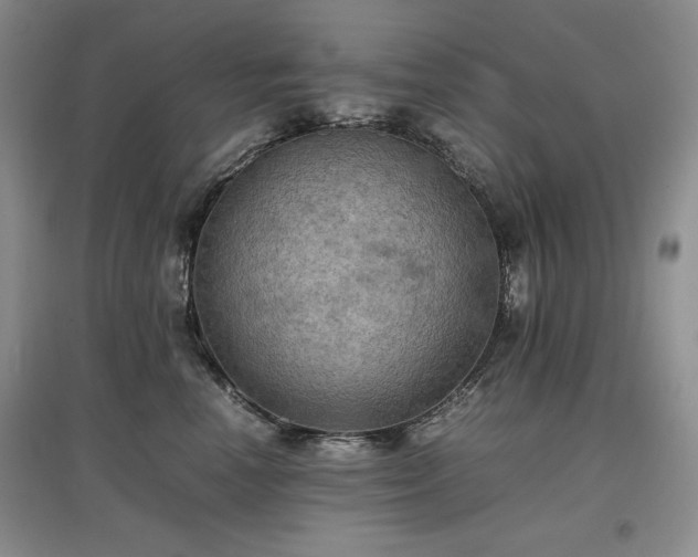 X0000097600666200803071430