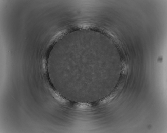 X0000097600670200803071430