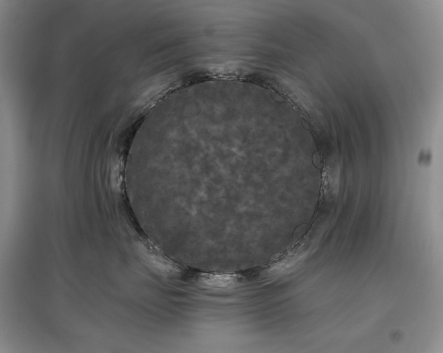 X0000097600671200803071430