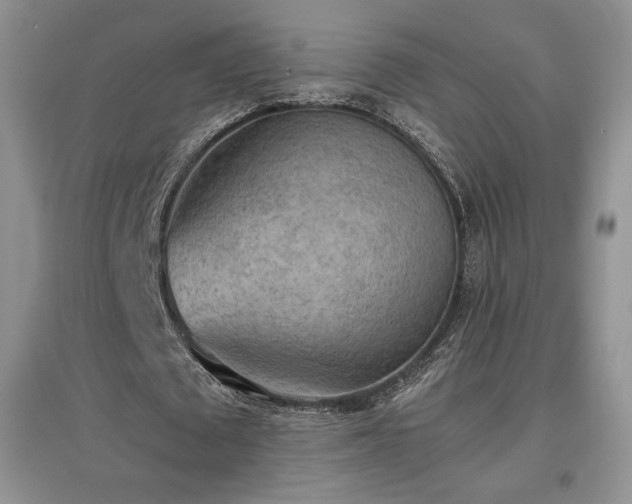 X0000097600673200803071430