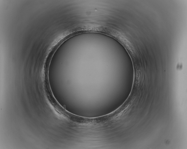 X0000097600674200803071430