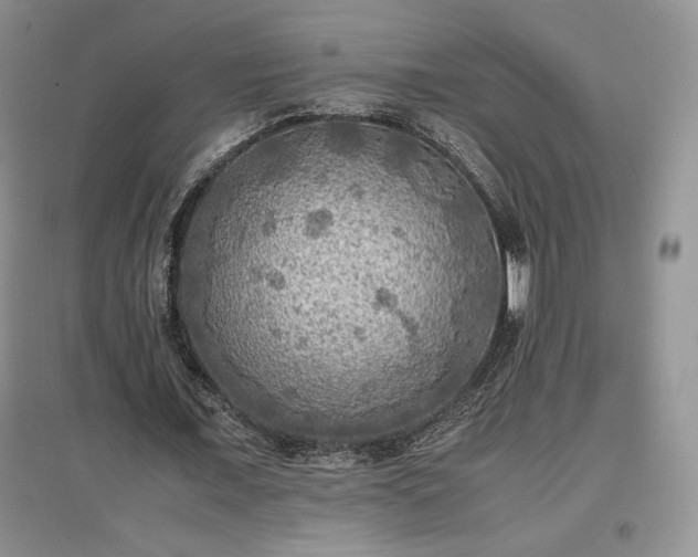X0000097600675200803071430