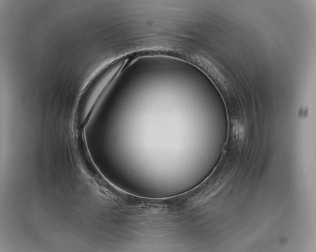 X0000097600676200803071430