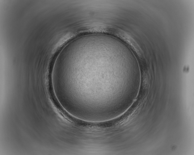 X0000097600677200803071430
