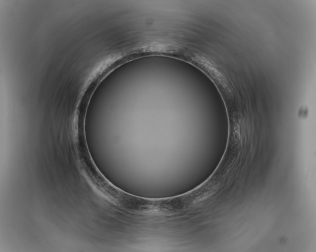 X0000097600678200803071430