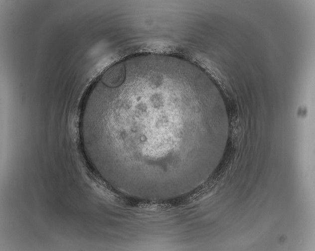 X0000097600679200803071430