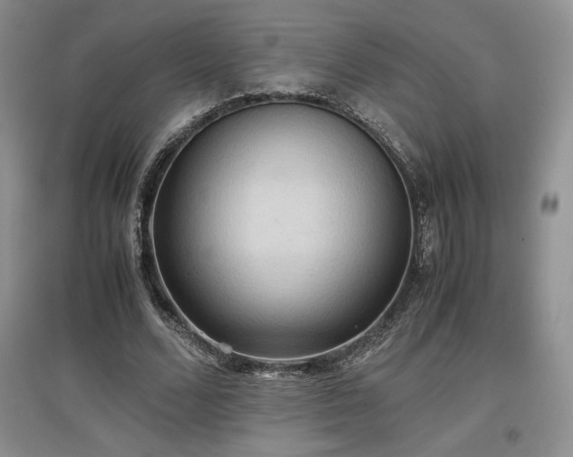 X0000097600680200803071430