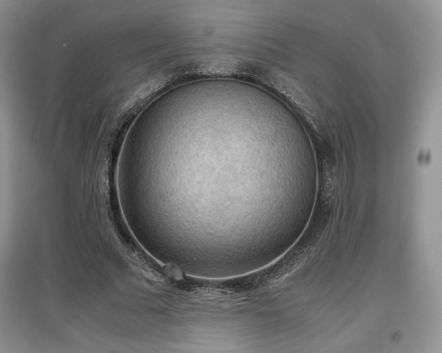 X0000097600681200803071430