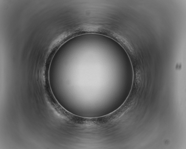 X0000097600682200803071430