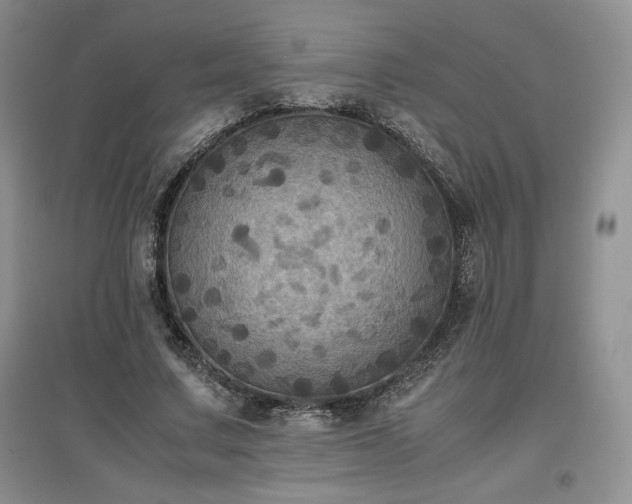 X0000097600683200803071430
