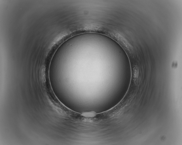 X0000097600684200803071430