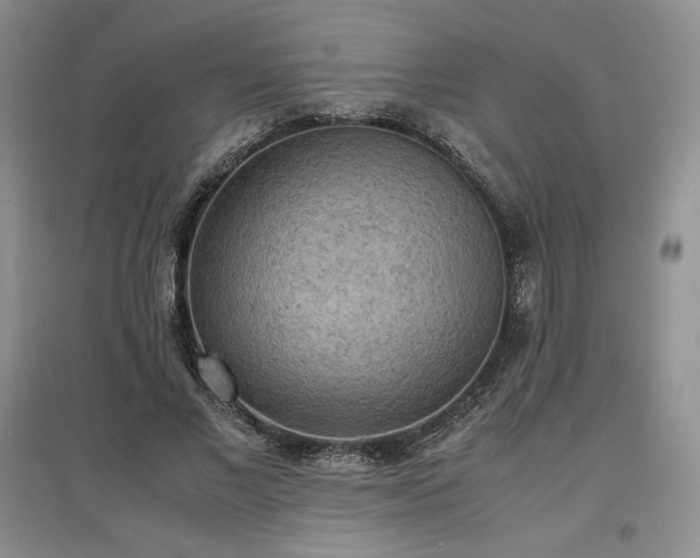 X0000097600685200803071430